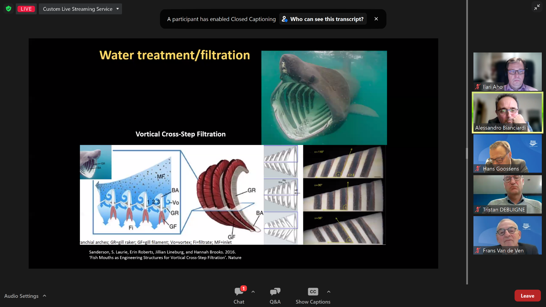 Cross flow filtrace u žraloka 