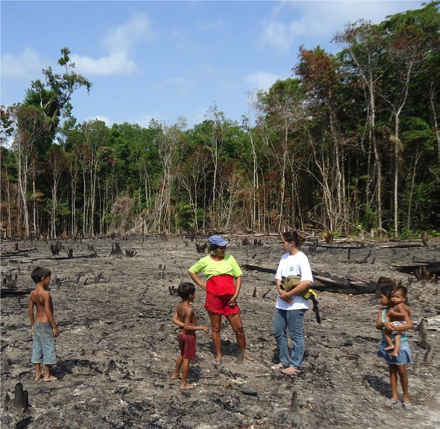 zabránění odlesňovaní amazonského deštného pralesa