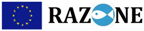 RAZONE _ logo
