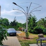 Chytrý strom AS-POUSTR – popínavý uliční strom